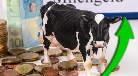 Petschar stellt Missinterpretation richtig