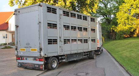 Sonderstreifen für LKWs an Grenzen