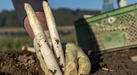 Arbeitskräfte für Lebensmittelwirtschaft finden