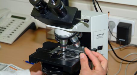 Agroinfo rund um Corona auf ministerieller Homepage