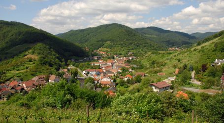 Härtefallfond für Land- und Forstwirtschaftsbetriebe