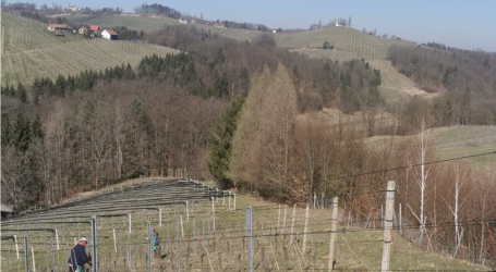 Aber der Arbeiter im Weinberg sind zu wenige