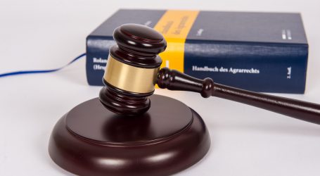 Neue Gerichtsentscheidung zu Futterfläche und Haftungen