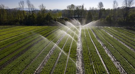 Förderregen für Bewässerung in NÖ