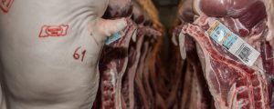 EU-Agrarhandel im Vorjahr im Exportrausch
