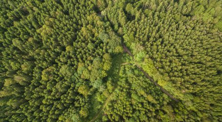 Waldbrände heuer häufiger
