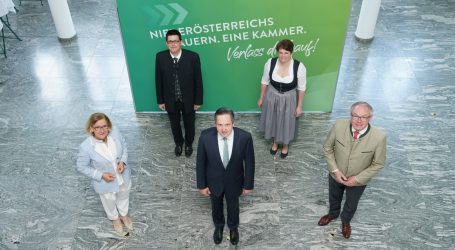 Präsidium per Videokonferenz online gewählt