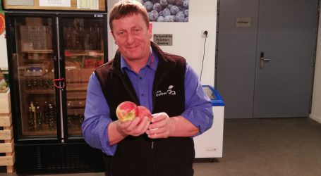 Will die Schweiz „Zwangsbio“?