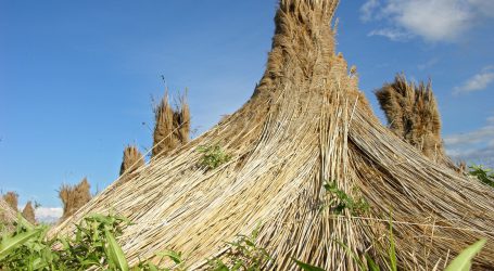 Arbeitspendeln aus/nach Ungarn bedingt möglich