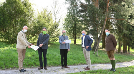 Wofür noch Holzimporte?