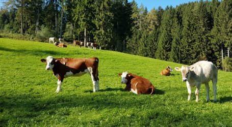 Freiwillige für Bergbauernhöfe gesucht
