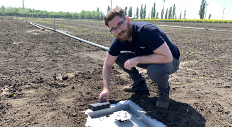 Käfertötung per Sonnenenergie