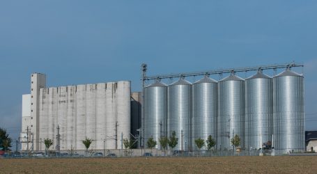 Würfeln für Prognosen