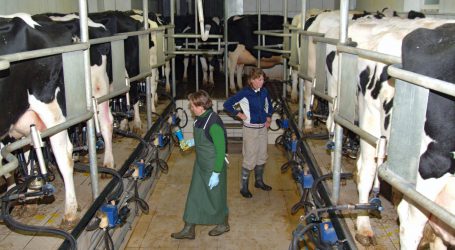 Melkstand planen mit ÖKL