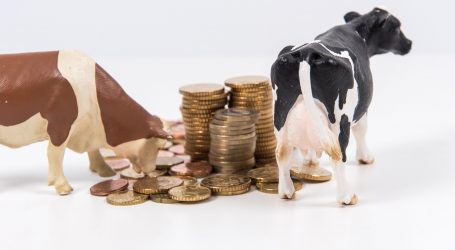 Regionalhype trifft auf Milchpreis