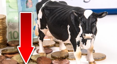 Pyramidale Aufforderung des BDM