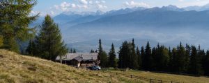 Mitglieder im oö. Almverein profitieren