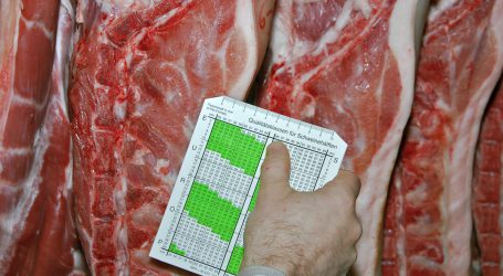 Deutsche Regierung berät über Schlachthöfe