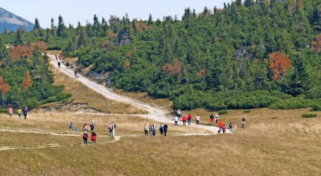 Urteil in Tiroler Kuhattacke hält
