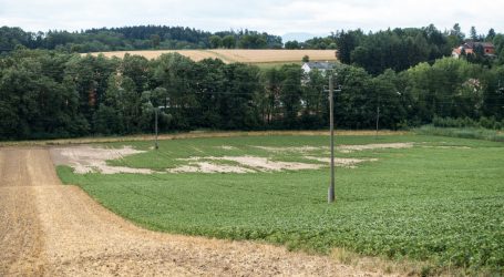 Mischanbau bremst Abschwemmung