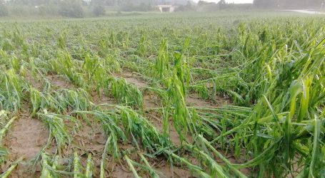 Schwere Agrarschäden in Kärnten durch Unwetter