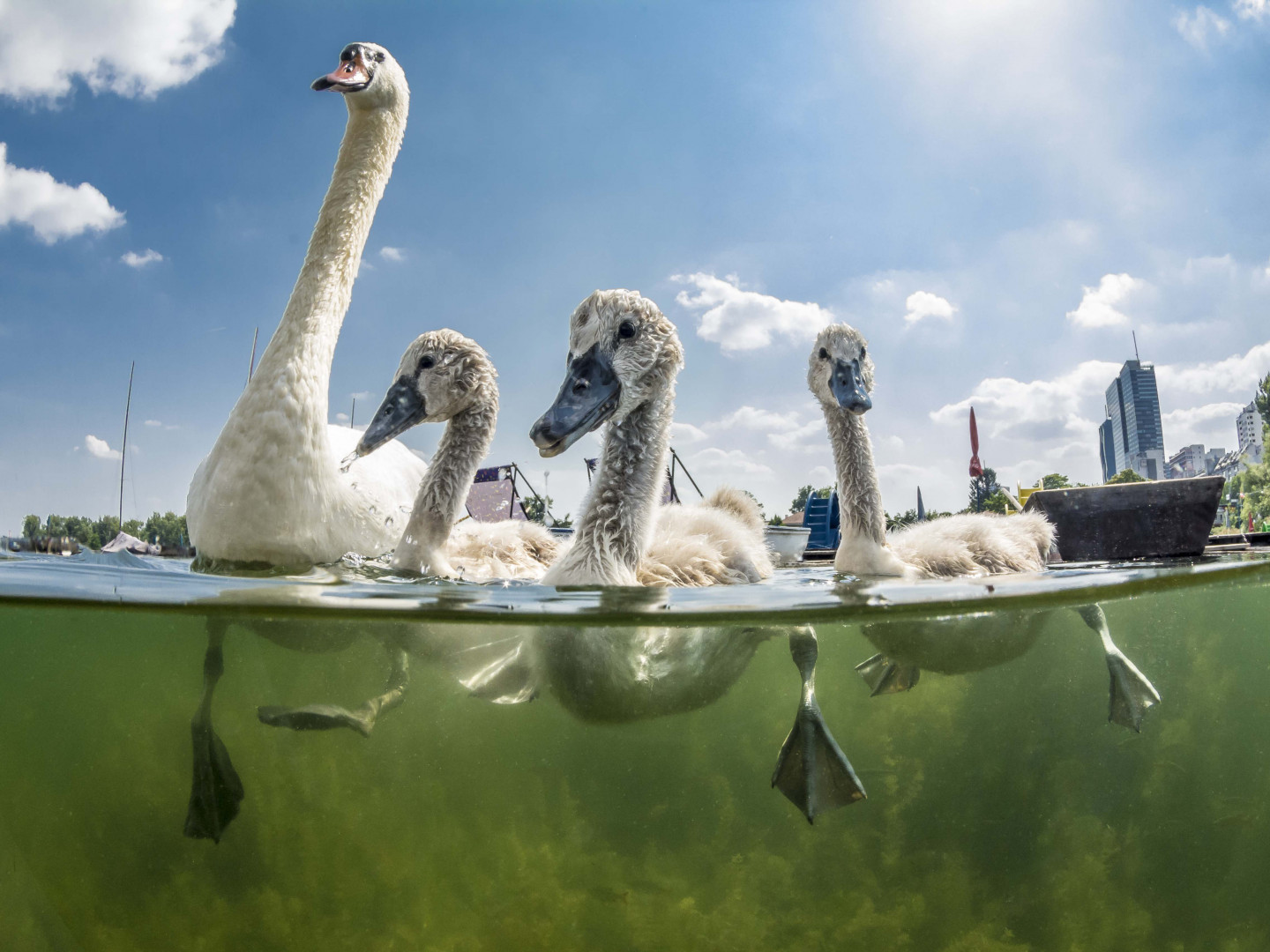 Teilnahmestart für Neptun Wasserpreis - Blick ins Land