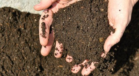 Grünschnitt kompostieren mit ÖKL-Merkblatt