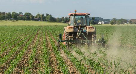 Bio-Austria reagiert auf LKÖ und Pestizidstatistik