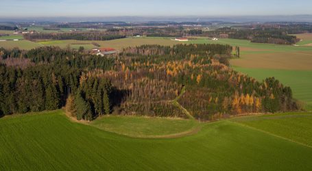 UBV hält GAP-Änderung für unabdingbar