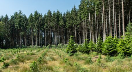 FP-Schmiedlechner ortet Paketverschleppung