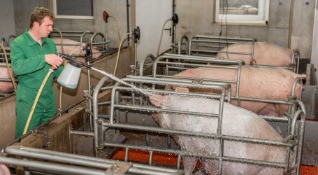 Umfrage zur Sauendusche-bitte mitmachen