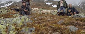 Der Wolf, die Herden und der WWF
