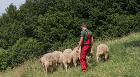 Salzburg öffnet Geldsack für Herdenschutz