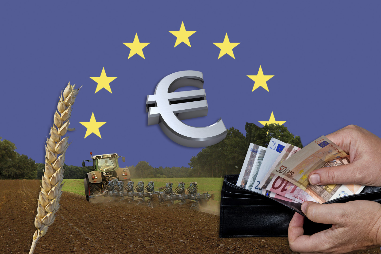 Mehr EU-Geld für Landwirtschaft - Blick ins Land