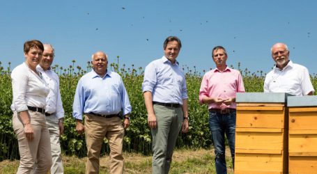 Digitale Bienenbörse hebt den Honigertrag