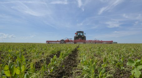 Neues Ackerbauverfahren mit festen Reihen