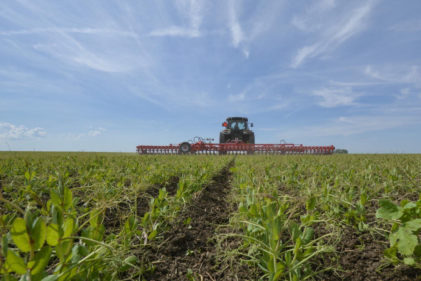 Neues Ackerbauverfahren mit festen Reihen Blick ins Land