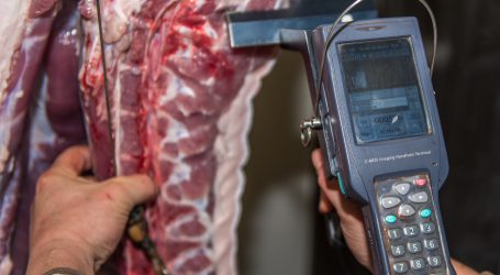 Deutschland macht der Fleischindustrie neue Auflagen