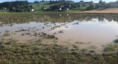 5.500 Hektar in Steiermark verwüstet