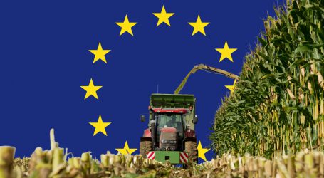 Aktuelle GAP geht in die Verlängerung