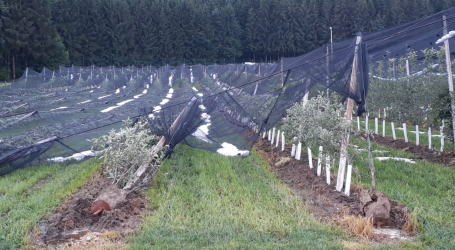 Lokale Intensivunwetter in Ostösterreich