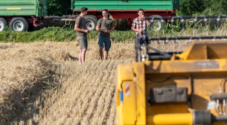 Burgenlands Getreideertrag unterdurchschnittlich