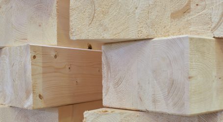 Der richtige Holzweg