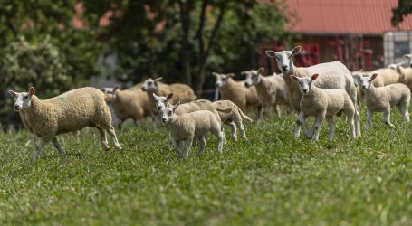 After Work bringt Städter und Bauern zusammen