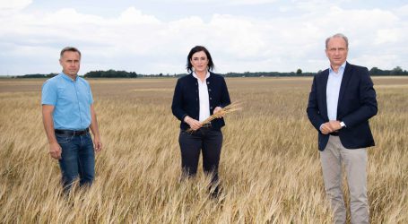 Gewinnverteilung bringt Risikoabfederung