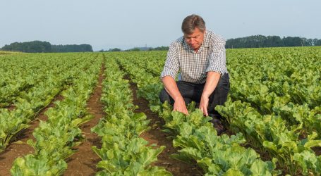 Ende der Zuckerfabrik Leopoldsdorf rückt näher