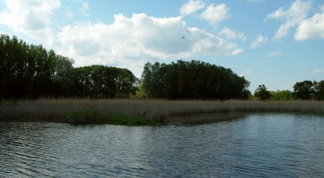 Exkursion über Biodiversität im Wald