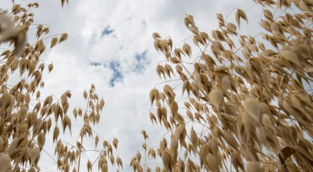 Multis wollen Bezeichnung Milch aufweichen