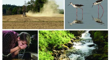 Zeitschrift Land & Raum ist voller Wasser