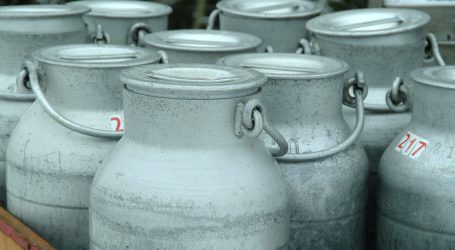 Während Lockdown stiegen Milchexporte
